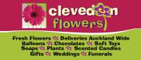 Clevedon Flowers image 2
